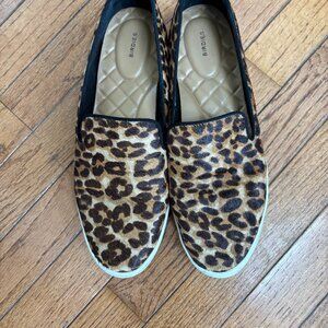 Birdies Leopard Print Sneakers